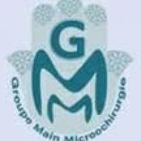 GROUPE MAIN MICROCHIR