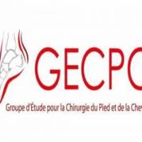 GROUPE PIED CHEVILLE